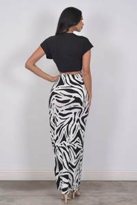 Zebra Maxi Set
